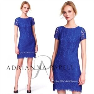 Adrianna Papell NWT cobalt blue lace shift dress *shop@iamwarrior